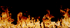 flame3.gif (28560 bytes)